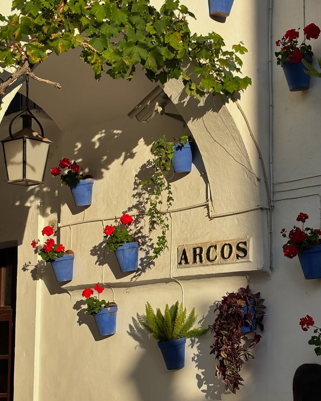 Sunny Barcelona ☀️