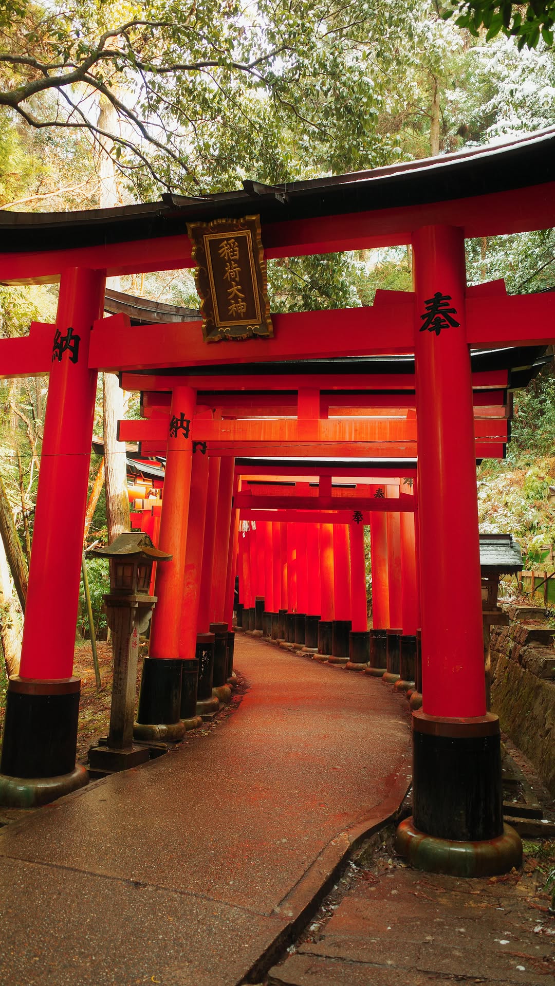 Aperçu de notre récent voyage au Japon 🫶🏻