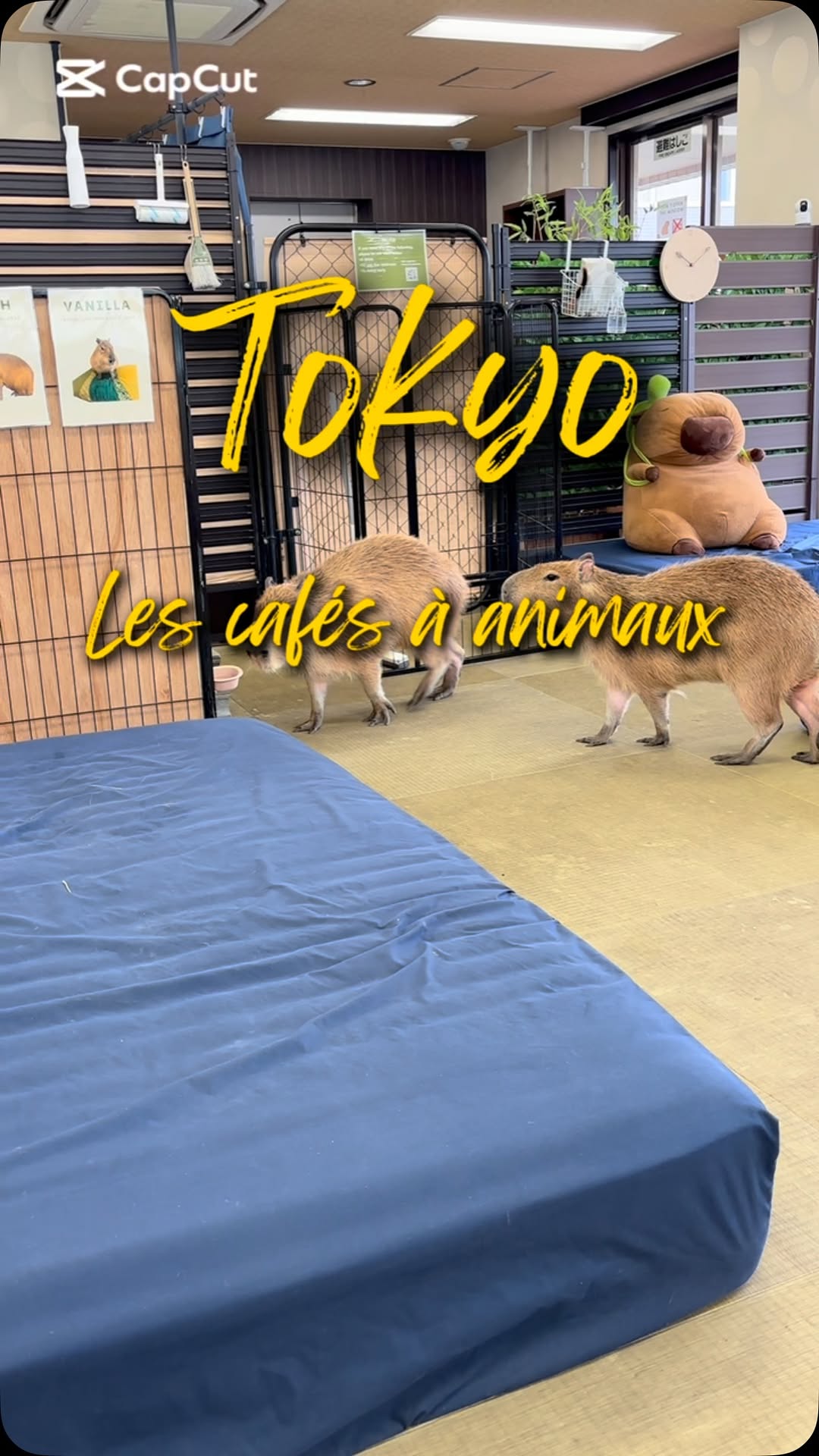 Si tu vas au Japon ou que t’as prévu d’y aller, il faut que tu testes l’un de...