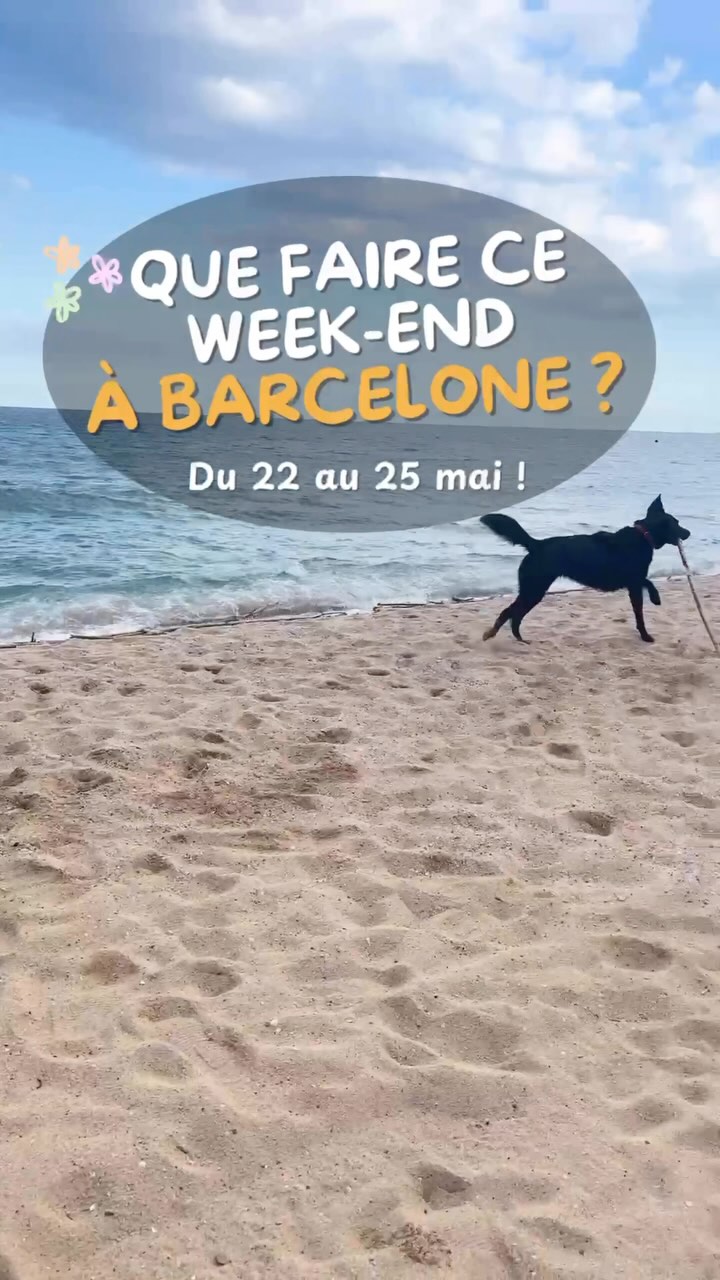 Que faire à Barcelone du 22 au 25 mai ?