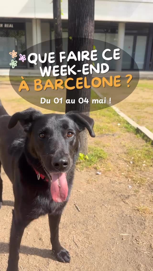 Voici les bons plans à ne pas manquer à Barcelone du 1er au 4 mai !