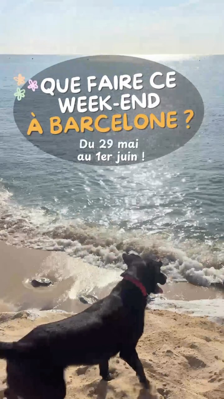 Le programme du week-end est là ! Préparez-vous à un week-end de folie entre ...