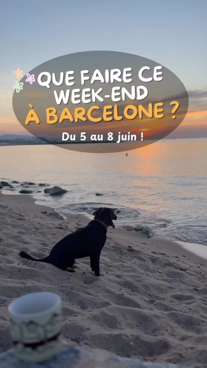 VOTRE SEMAINE À BARCELONE EN BONS PLANS ! 💥