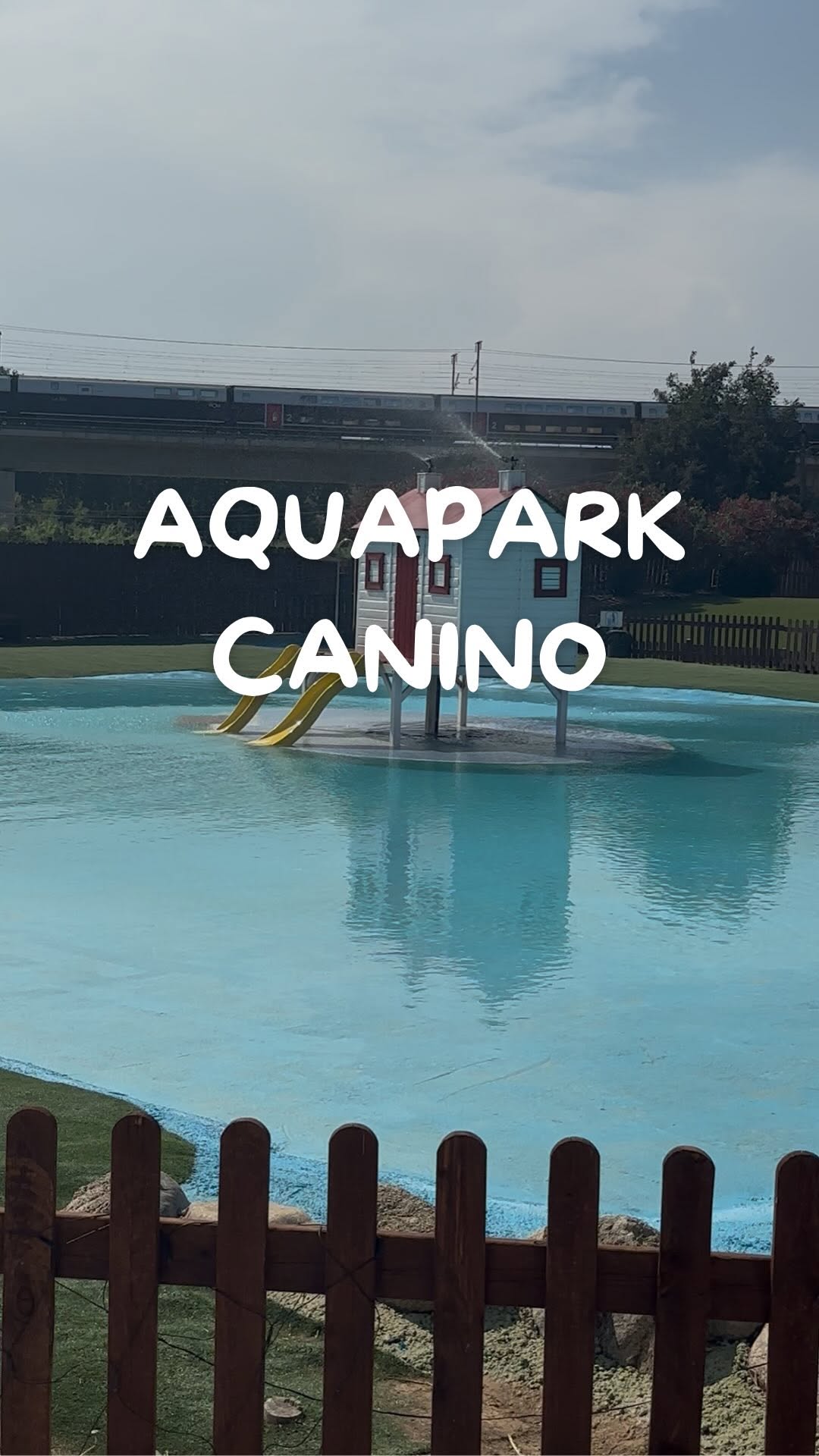 Il fait chaud? Aquapark pour chiens à Barcelone