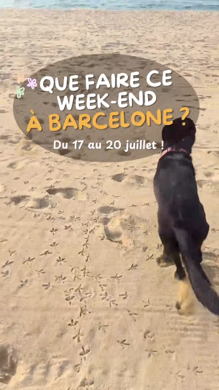 Voici les bons plans à ne pas manquer ce week-end à Barcelone (17-20 juillet)