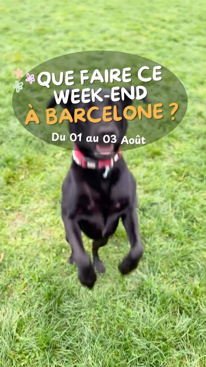 Ta dose de kiffs à Barcelone cette semaine !