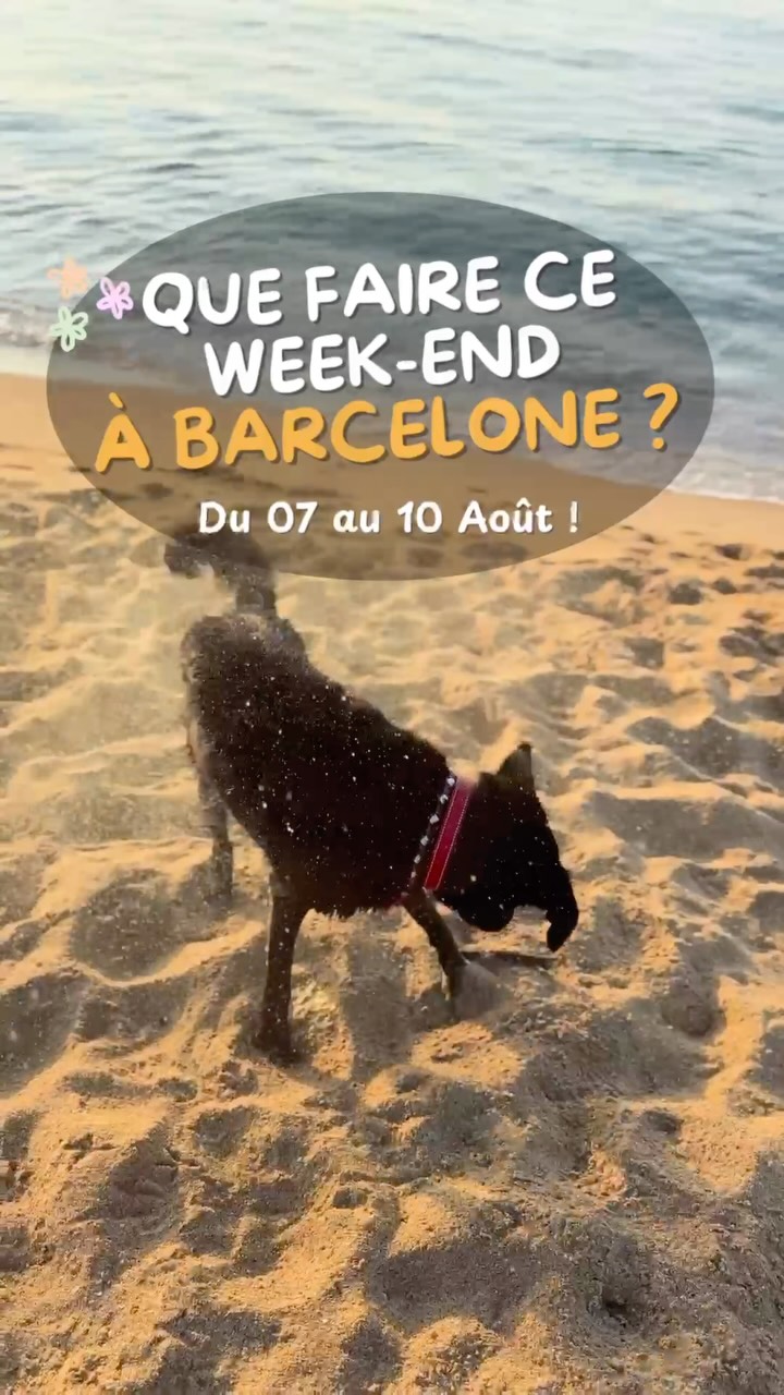 Voici les bons plans à ne pas manquer cette semaine à Barcelone ! Entre couch...