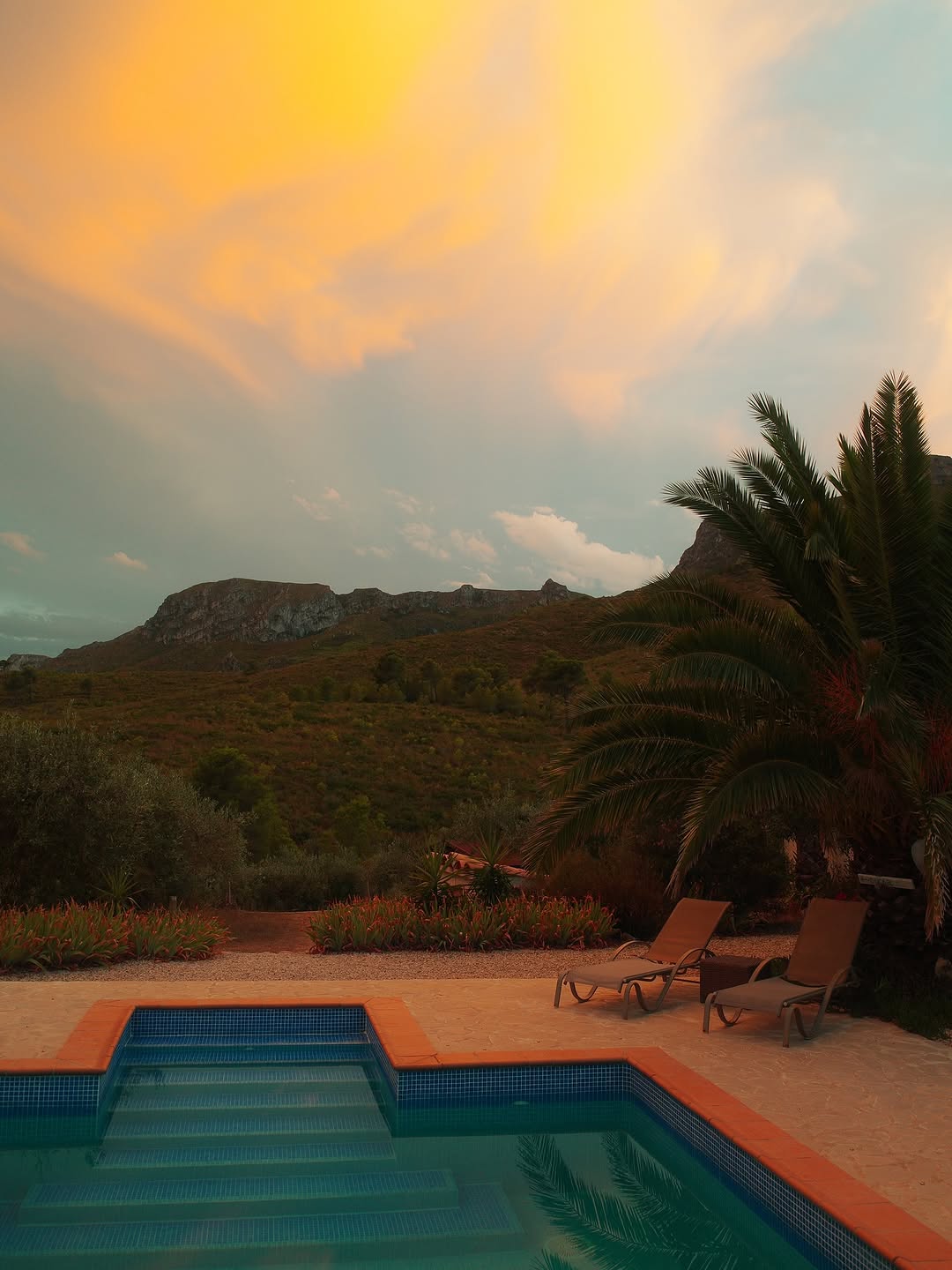 Weekly Dump 🫶🌴