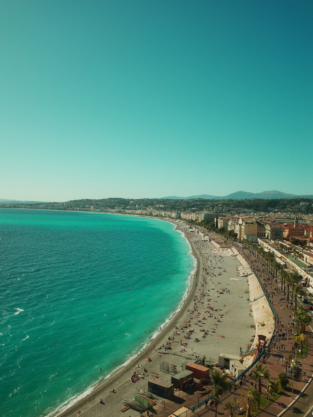 Week-end dump 🐶☀️🍽️