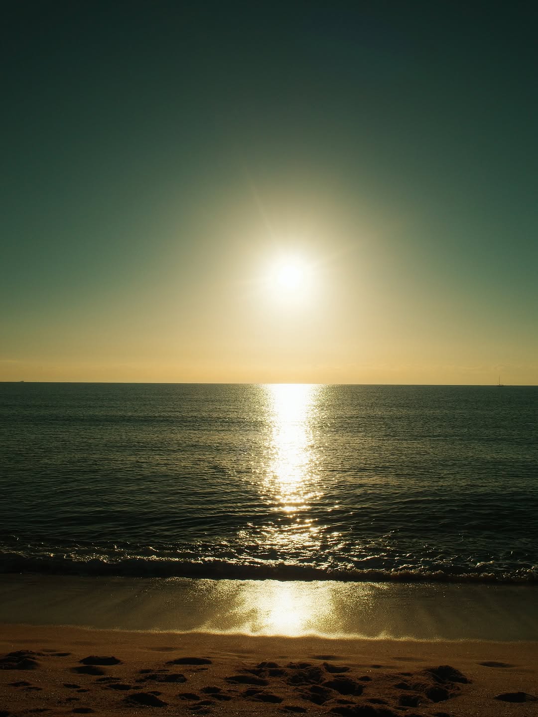 Weekly Dump 🐶☀️📸