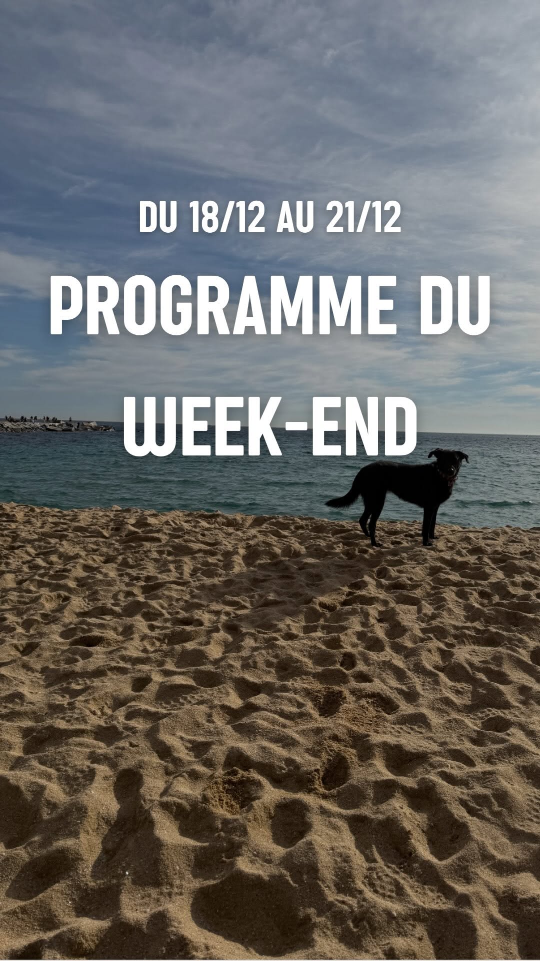 5 plans hyper cool à Barcelone ce week-end 🎄