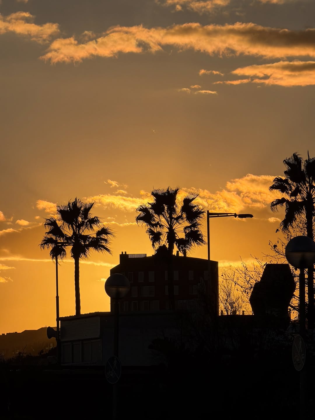 Photo Dump of Barcelona 🌞🌴