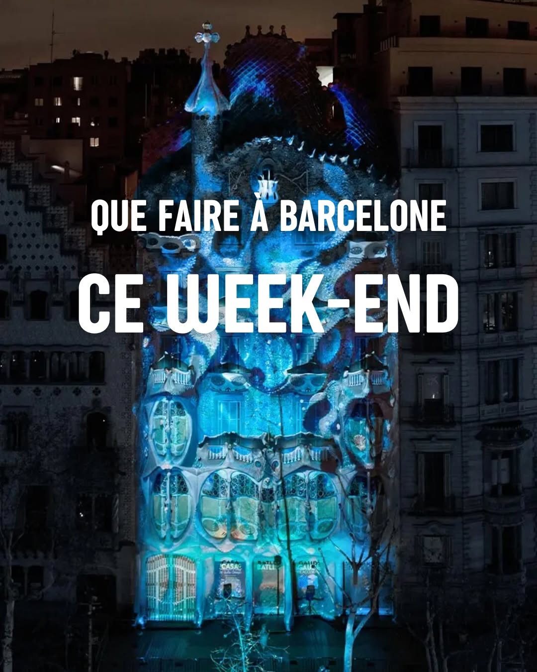 💥 Voici 5 plans parfaits pour cette semaine du 31 janvier au 4 février