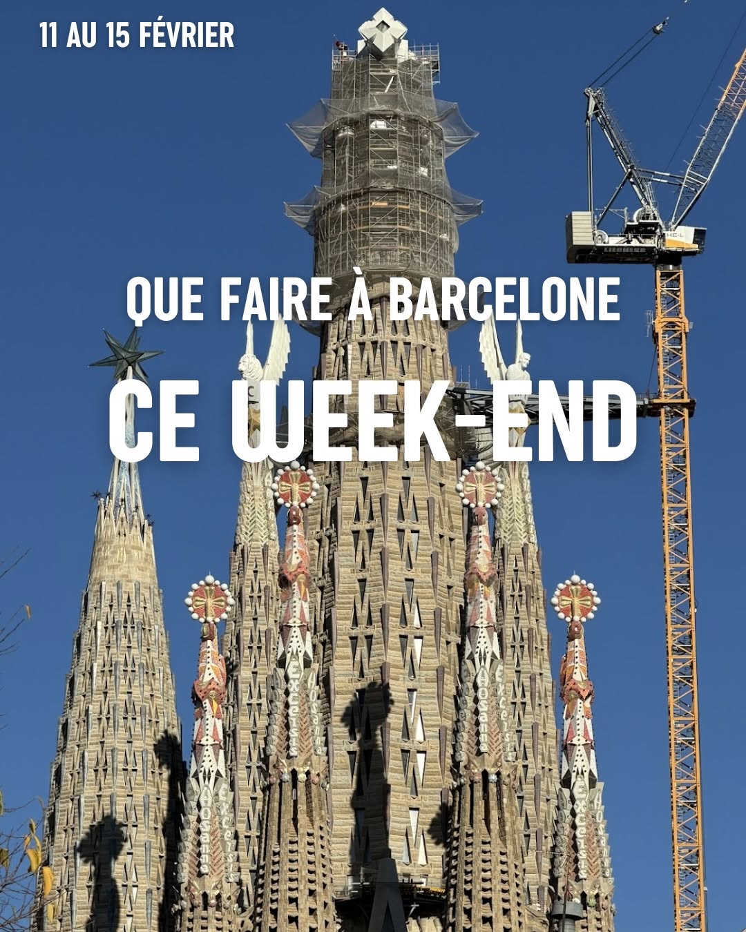 💥 Voici 5 plans parfaits pour la semaine du 12 au 16 février