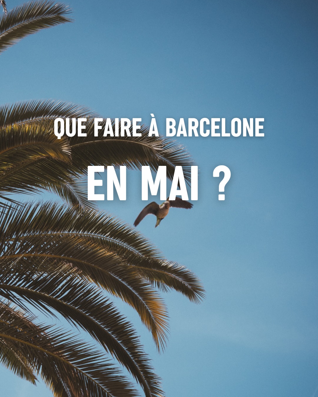 Nos coups de cœur événements à Barcelone en mai