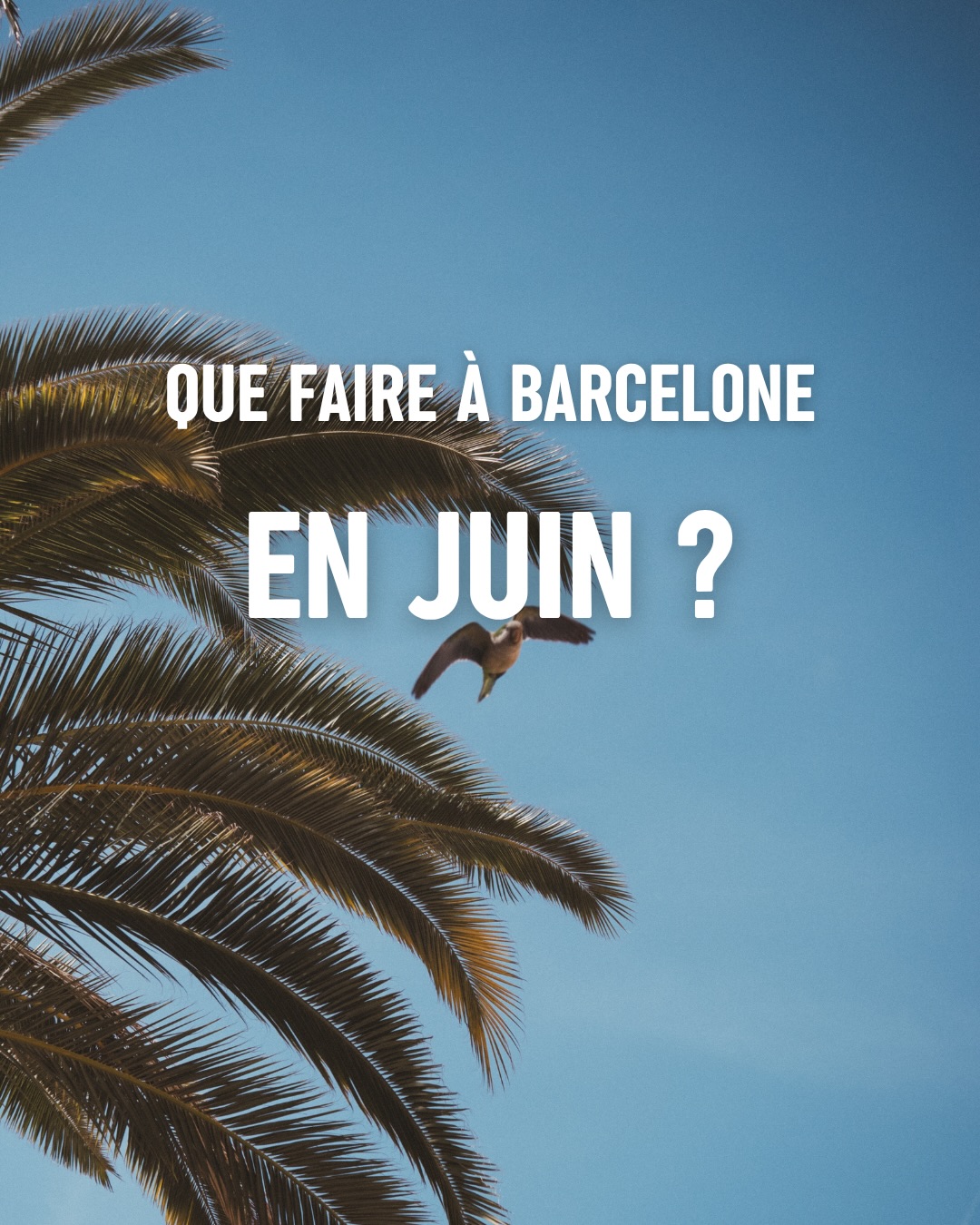 Programme de juin à Barcelone - les events à ne pas manquer