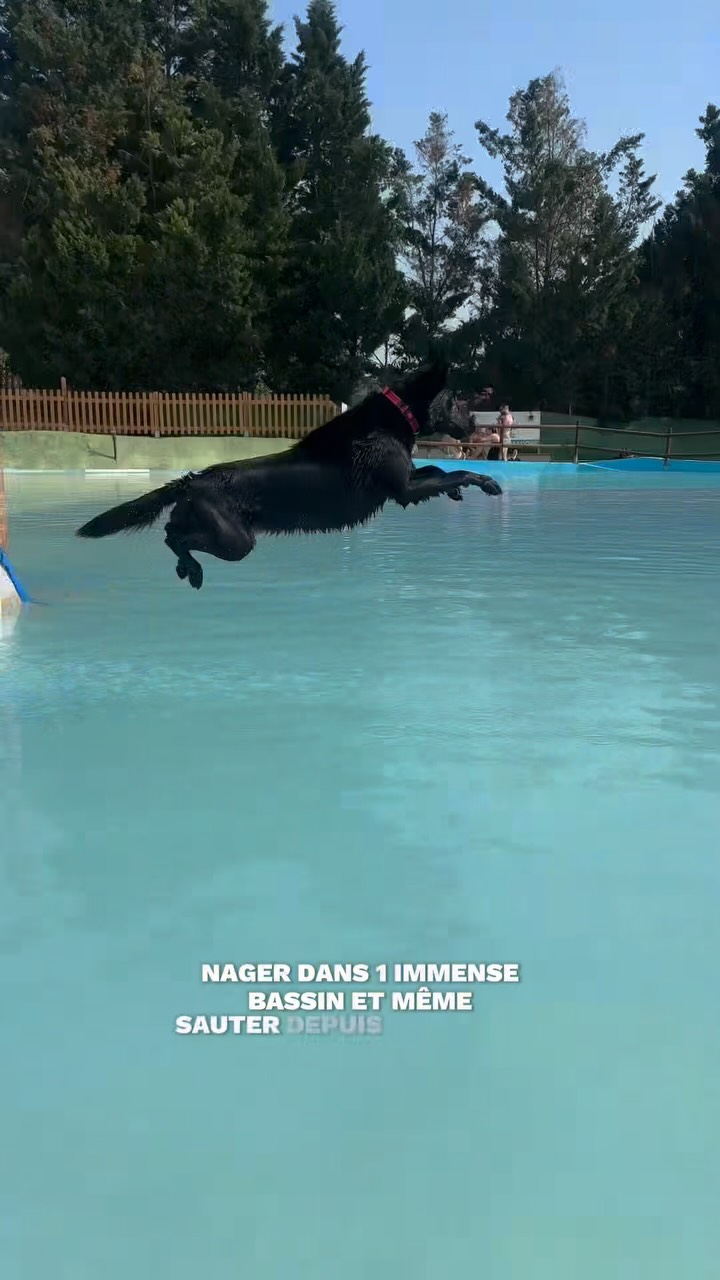 Aquapark Canino - le paradis des chiens à 30 min de Barcelone